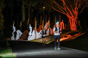 BIB: 
                            <button type="button" onclick="openModal(22510537)" class="btn btn-primary btn-sm float-right btn-popup" data-toggle="modal" data-target=".modal-high-quality">
                        <i class="fas fa-shopping-cart"></i> Add to Cart
                    </button>
                                            <button type="button" onclick="isThisMe(22510537, true)" class="btn btn-success btn-sm float-right btn-popup btn-isme hidden" data-toggle="tooltip" data-placement="bottom" title="นี่คือรูปของคุณใช่ไหม คลิกที่นี่เพื่อเอาเข้าอัลบั้ม">
                        <i class="fas fa-plus"></i> Add to album
                    </button>
                    <button type="button" onclick="isThisMe(22510537, false)" class="btn btn-warning btn-sm float-right btn-popup btn-isnotme hidden">
                        <i class="fas fa-ban"></i> Remove from album
                    </button>